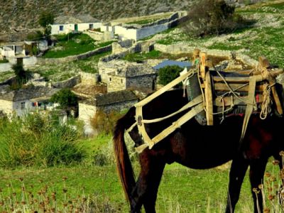 Wandern in Albanien mit Gep�cktransport