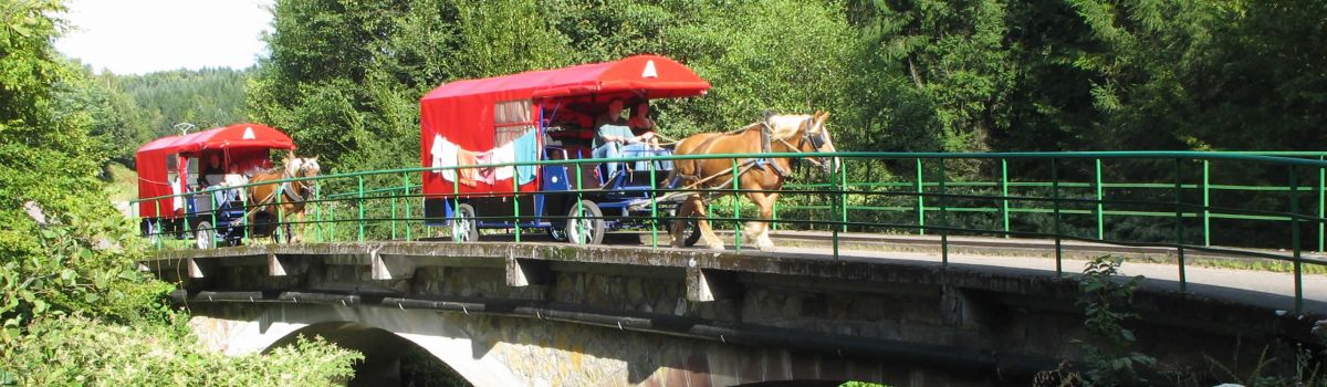 Zigeunerwagenferien in den Vogesen Frankreich ReNatour