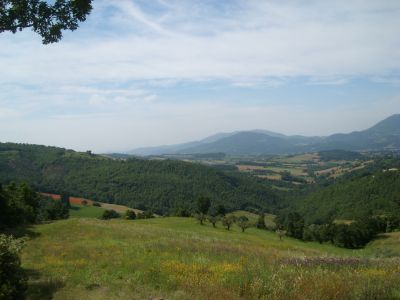 Sanft geschwungene H�gel