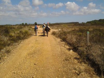 Urlaub mit Kindern in Portugal Akitwoche mit Esel Algarve