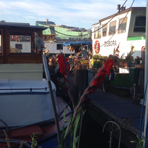 Holland mit Rad und Schiff - Familienreise rund ums IJsselmeer