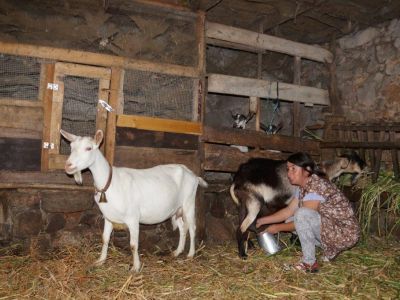 Urlaub mit Kind �kotourismus Urlaub mit Kinderprogramm