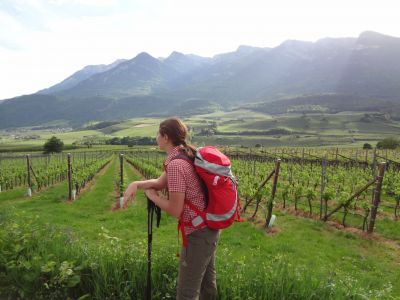 Wanderer vor Apfelb�umen bei Kaltern in S�dtirol