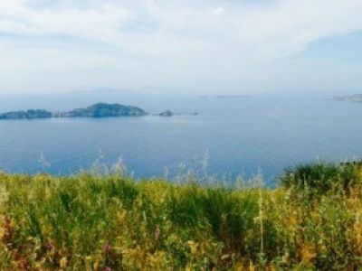 Ausblick Ferne Wandern Familienurlaub