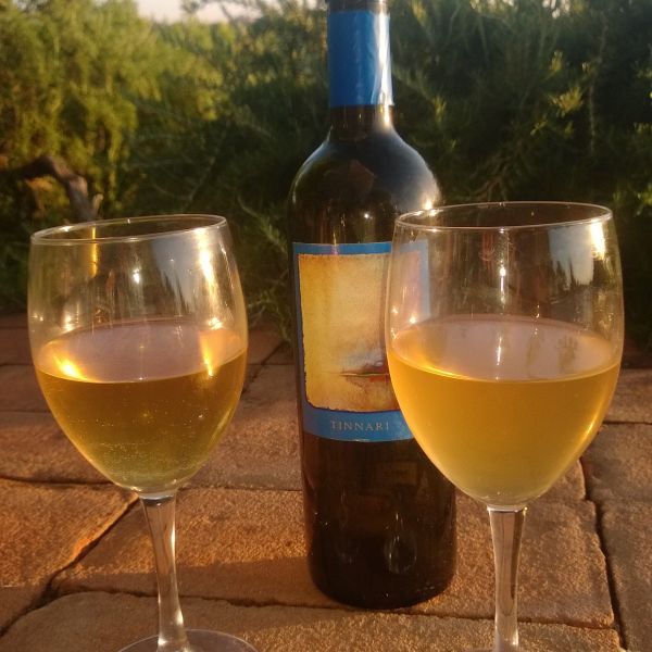 Toskana-Urlaub auf Bio-Weingut bei Vinci