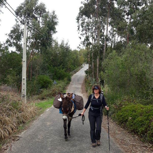 Eselwandern an der Algarve: Steilk�sten, Sandstr�nde und wildes Hinterland - Portugal