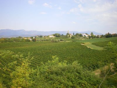 Weinberge von Bassano del Grappa bei Wandern mit Gep�cktransport