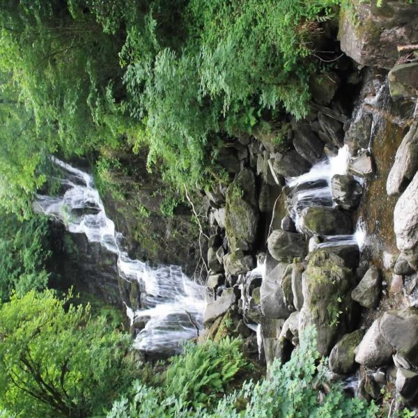 �ko-Pension in Irland - G�lische Kultur und wilde K�sten