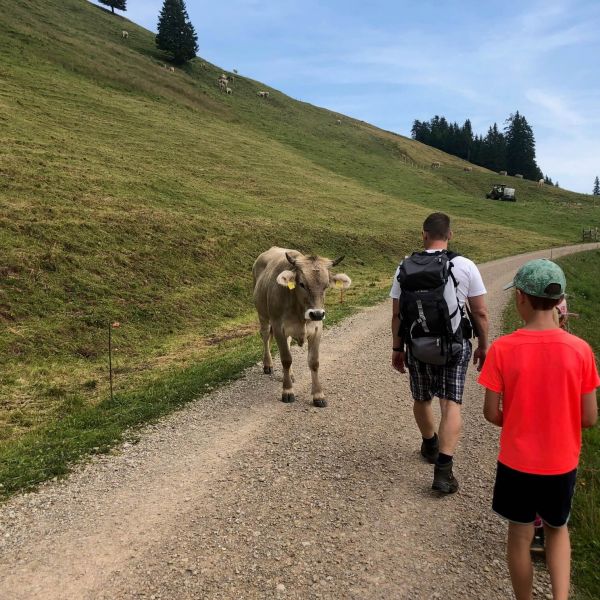 Wanderwoche f�r Familien am Vierwaldst�ttersee - Schweiz