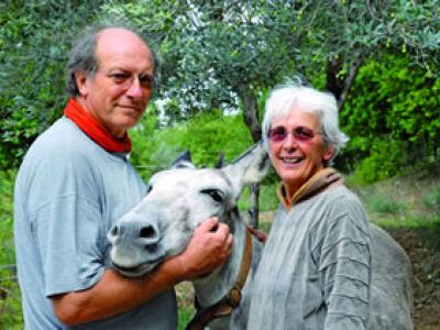 Bio-Landhaus in der Toskana �kologisch mit Wein und Oliven�l