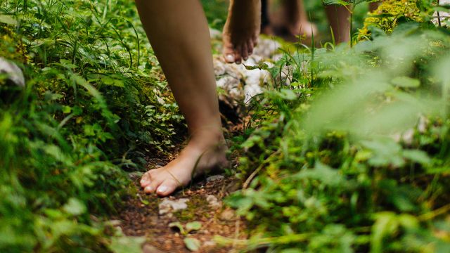 Naturerlebnis Auszeit Tirol