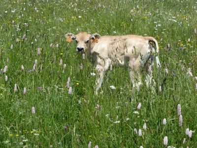 Na, wer bist denn du?