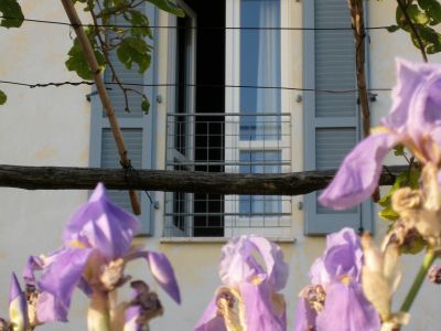 Bio-Landhaus in der Toskana �kologisch traditionell mit Restaurant
