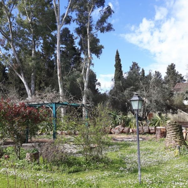 Alte �lm�hle - Ferienhaus-Urlaub auf Korfu - Griechenland