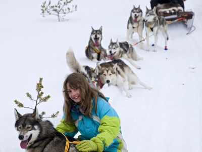 Hundeschlittentour in Schwedisch Lappland.