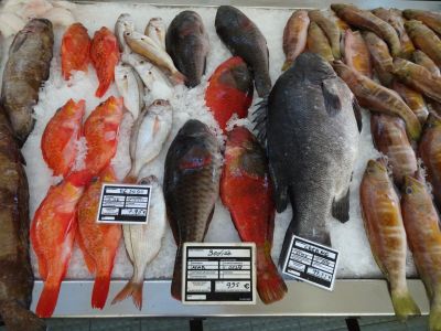 organisierte Wanderreise ohne Gep�ck auf Madeira