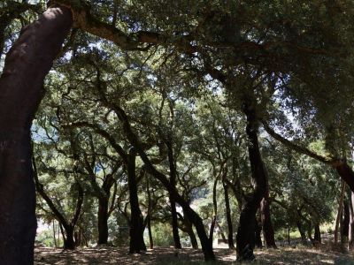 Aktivurlaub Aktivwoche Aktivreise Algarve Portugal