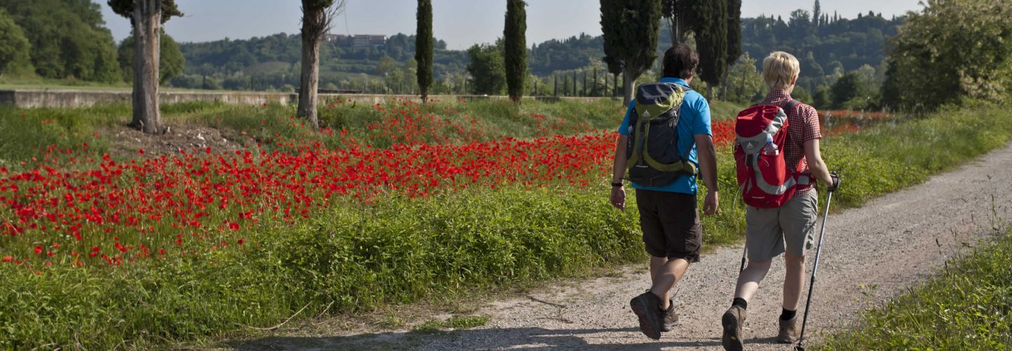 Wanderurlaub wanderwoche gardasee wanderer 