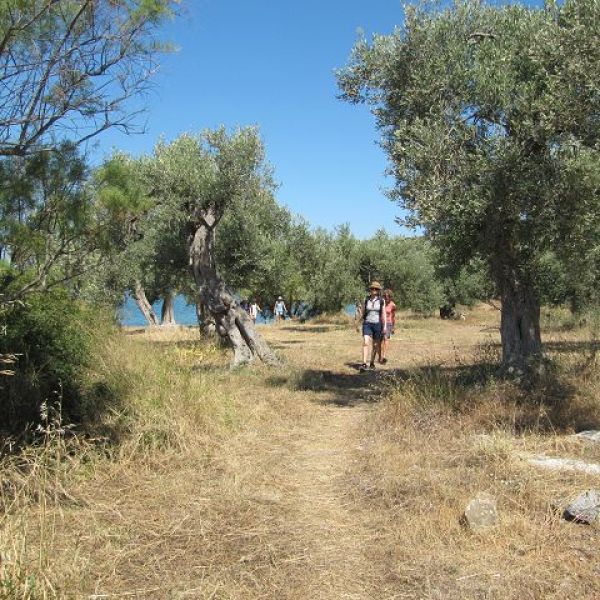 Yoga, Qi Gong & Wandern: Griechenland-Urlaub im Pilion 