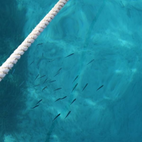 Segeln f�r Familien in S�ddalmatien - Kroatien