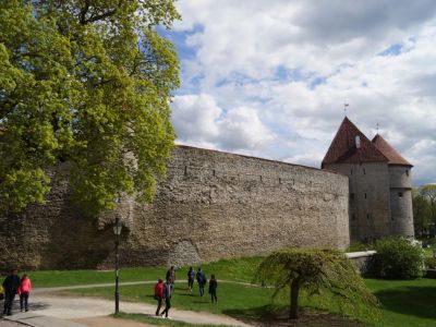 Burgmauer Burgen Estlands Tallin St�dtetour