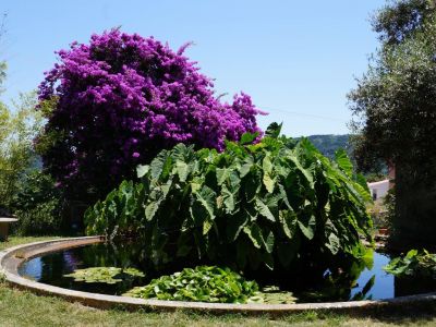 kinderfreundlicher Urlaub in Portugal Algarve Monchique