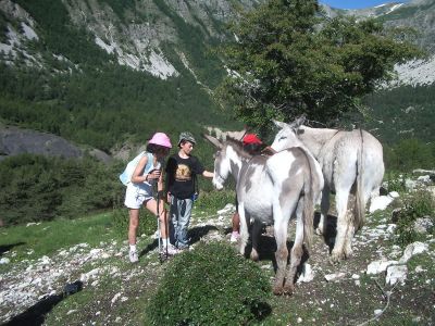 Wandern mit Esel in den s�dfranz�sischen Seealpen