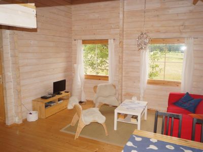 Ferienhaus Schweden �land Wohnraum Blick