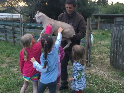 honigtal-ziege-kinder-gaertner-renatour