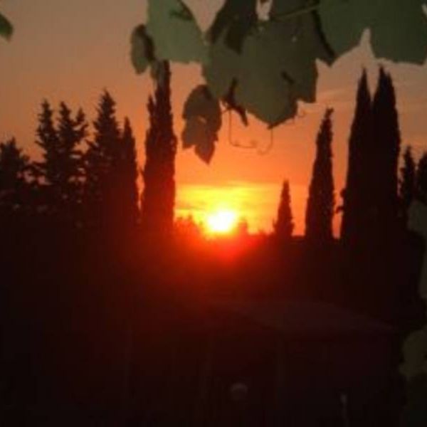 Bio-Landhaus in den H�geln der Toskana