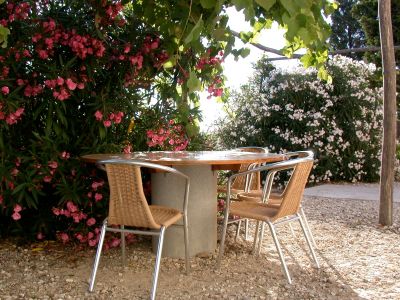 Bio-Landhaus in der Toskana �kologisch traditionell mit Restaurant