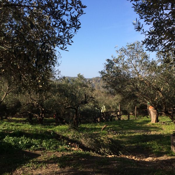 Bio-Agriturismo im Cilento - S�ditalien