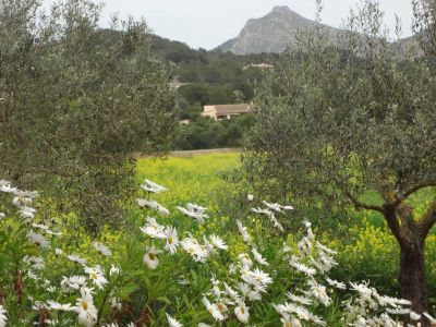 Alternativer Urlaub in der Natur Mallorca�s