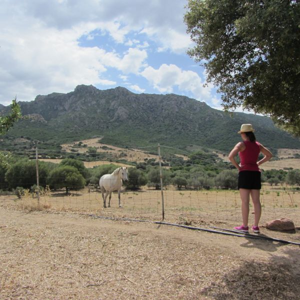 Agriturismo auf Sardinien - Urlaub zwischen Bergen und Meer