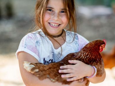 Kind Huhn Korfu Honigtal