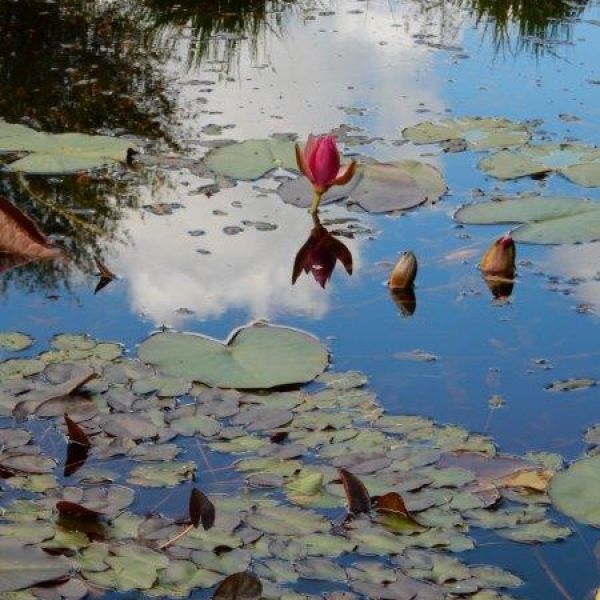 �ko-Pension in Irland - G�lische Kultur und wilde K�sten