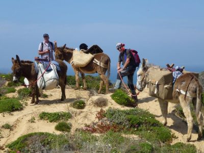 Wanderurlaub mit Gep�cktransport durch Esel Agarve Portugal