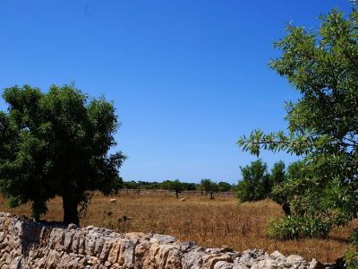 Eltern-Kind-Reise Familienreiseveranstalter Urlaub mit Kleinkkind kindgerechte Unterkunft Appartement