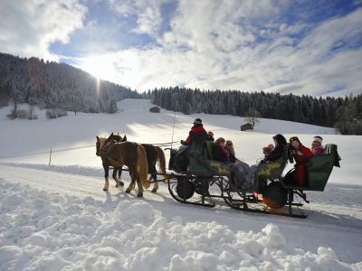Pferdeschlittenfahrt (� by Hannes Dabernig)