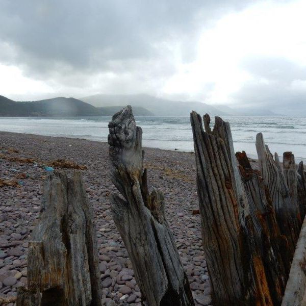 �ko-Pension in Irland - G�lische Kultur und wilde K�sten