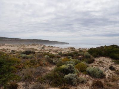 Wanderurlaub mit Esel Westk�ste Portugal Costa Vicentina