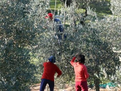 Bio-Landhaus in der Toskana �kologisch traditionell mit Restaurant