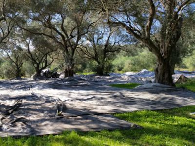 Netze und Planen bedecken den Boden