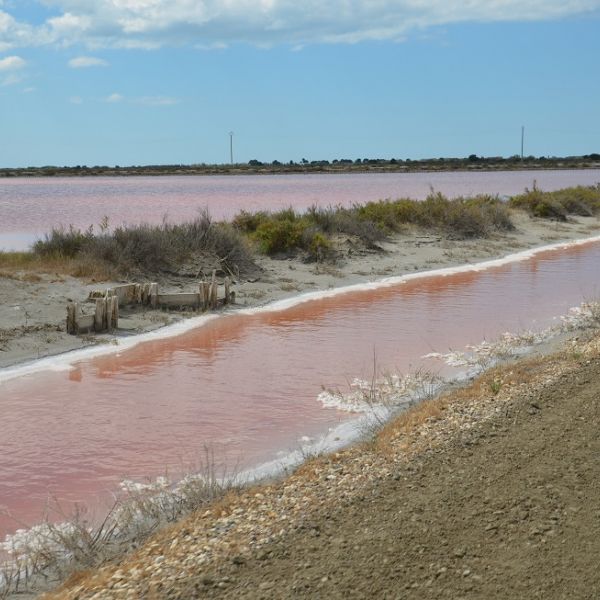 Familienurlaub im Landhaus Mas Fonrouge - Camargue/S�dfrankreich