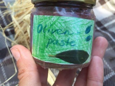 Olivenpaste Workshop Korfu Honigtal