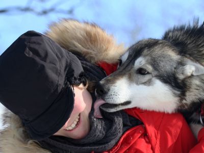Die Hunde sind treue Begleiter (Foto: Jokkmokkguiderna)