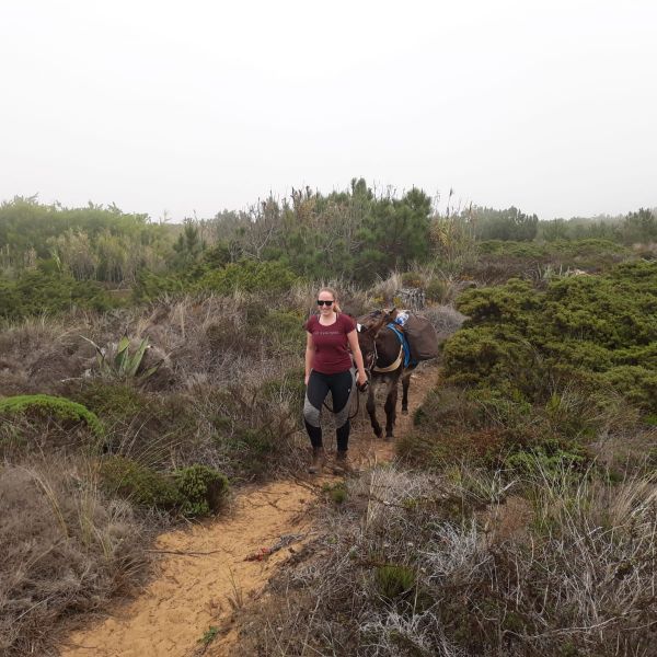 Eselwandern an der Algarve: Steilk�sten, Sandstr�nde und wildes Hinterland - Portugal