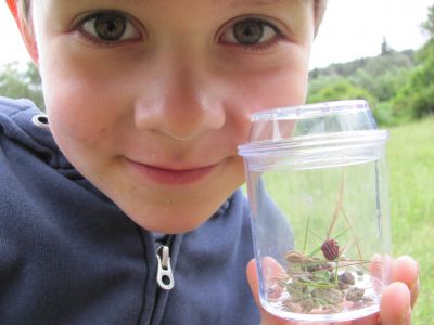 Spannende Naturbeobachtungen