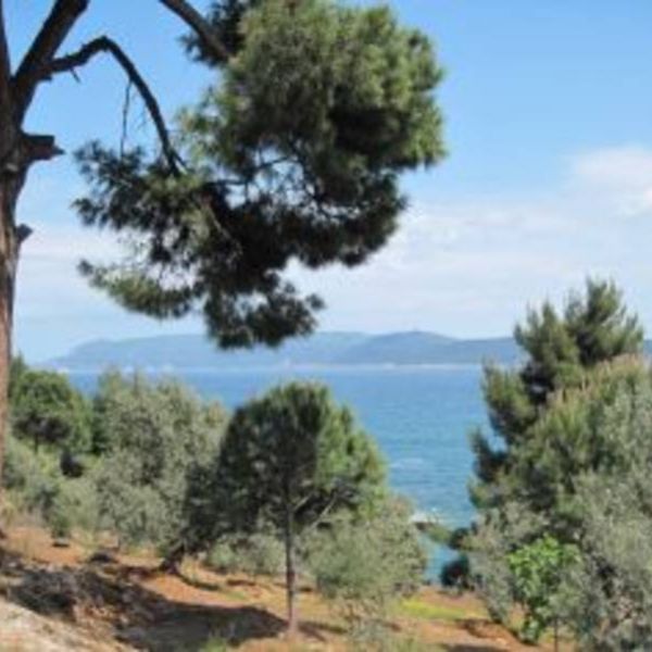 Yoga, Qi Gong & Wandern: Griechenland-Urlaub im Pilion 