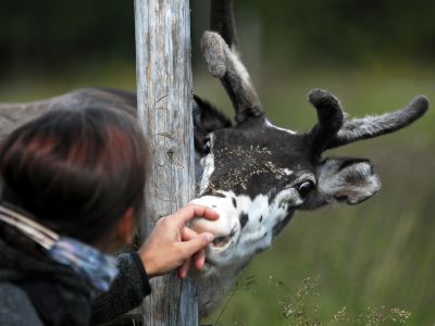 Kleine Streicheleinheiten sind ausdr�cklich erlaubt (Foto: Sandra Peter und Jochen Oetinger)